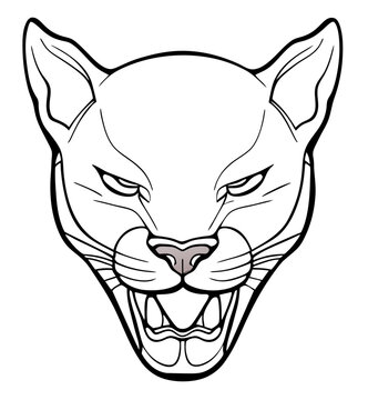 head of wildcat