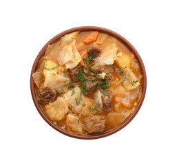 Tasty cabbage soup with meat, carrot and dill on white background, top view