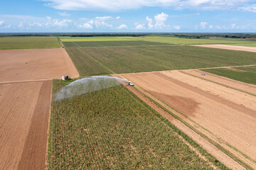 Aerial view of planted and unplanted agricultural fields and irrigation in Homestaed, Florida under summer cloudscape.