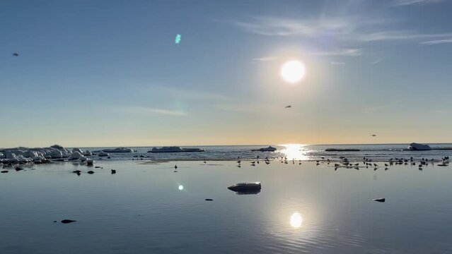 sea ocean nature birds human sun snow ice advanture