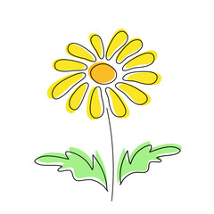 Yellow dandelion single flower vector illustration isolated. Floral clipart design element. Botanical decoration. Summer garden icon. Colored line art. Natural logo. Medical herb. Herbal medicine.