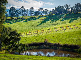 Afternoon Dam And Paddock