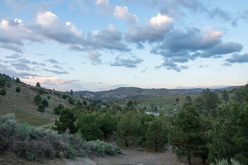 Pathway Along the East Fork of the Carson River in California