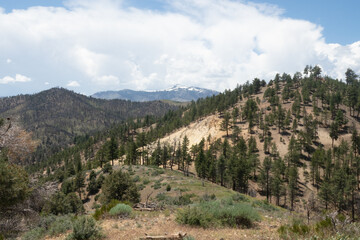 Mountainsides along the East Fork of the Carson River in California