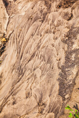 Sandy road after heavy rains. Fragment, close-up. Narrow focus.