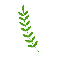 Spring Flower Illustration