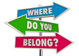 Where Do You Belong Signs Direction Welcome Belonging 3d Illustration