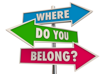 Where Do You Belong Signs Direction Welcome Belonging 3d Illustration