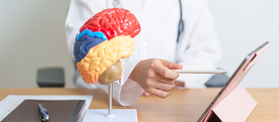 doctor with human Brain anatomy model and tablet. World Brain Tumor day, Brain Stroke, Dementia,...
