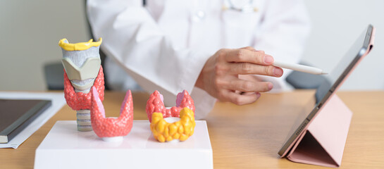 Doctor with human Thyroid anatomy model and tablet. Hyperthyroidism, Hypothyroidism, Hashimoto...