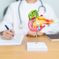 Doctor with human Pancreatitis anatomy model with Pancreas, Gallbladder, Bile Duct, Duodenum, Small...