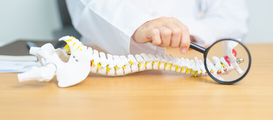 Doctor with human Spine anatomy model. Spinal Cord Disorder and disease, Back pain, Lumbar, Sacral...