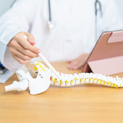 Doctor with human Spine anatomy model. Spinal Cord Disorder and disease, Back pain, Lumbar, Sacral...