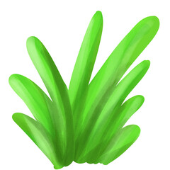 beautiful underwater plants