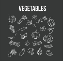 set of hand drawn vegetables.  hand drawn Vegetables. Vector hand drawn vegetables icons set. Decorative retro style collection farm product restaurant menu, market label.
