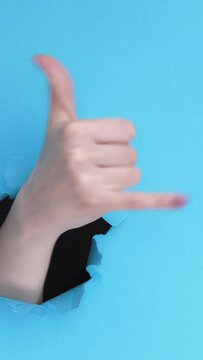 Vertical video. Call gesture. Shaka sign. Female hand showing greeting signal inside breakthrough hole on blue torn paper wall background with free space.