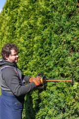 Male gardener in uniform using electric hedge cutter for work outdoors. Caucasian man shaping overgrown thuja during summer time.