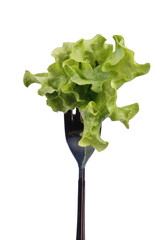 Fresh lettuce leaves on the metal fork on a white background