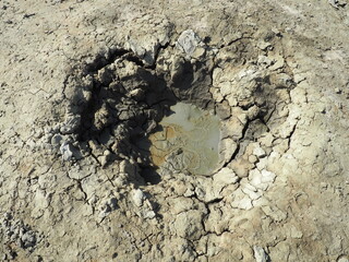 Crater with gray volcanic healing clay. A hole with a prominent amorphous mass from the depths of...