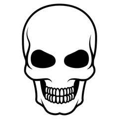 human skull vector