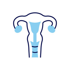 Uterus Related Vector Line Icon. Isolated on White Background. Editable Stroke