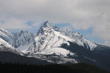 Fototapeta na wymiar mountains in the snow, Jasper National Park, Alberta