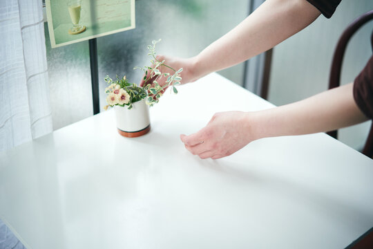 開店前のカフェで花をいける女性