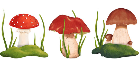 A set of delicious porcini, honey agaric, orange-cup boletus and red poisonous mushroom fly agaric in the forest. Isolated watercolor illustration - tutorial, guide, workbook, print, scrapbooking