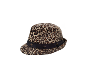 Tiger pattern faux fur hat PNG transparent
