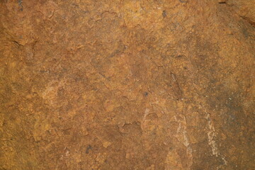 brown earth background