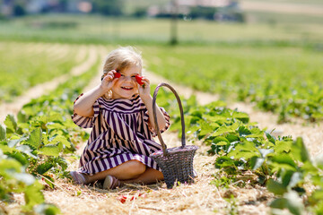 Happy little toddler girl picking and eating healthy strawberries on organic berry farm in summer, on sunny day. Child having fun with helping. Kid on strawberry plantation field, ripe red berries.