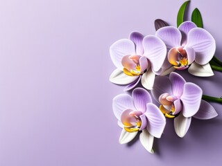 Fototapeta na wymiar Orchid flowers on ping background. Generative AI