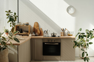 Two counters with electric stove and sink, kitchenware, green domestic plants in flowerpots and clock on wall of spacious tidy kitchen