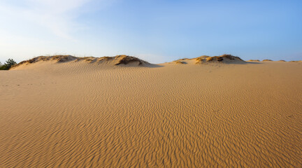 Fototapeta na wymiar summer sandy desert dune under blue cloudy sky