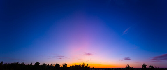 early morning sky above a forest silhouette, summer dawn background