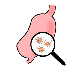 胃内細菌