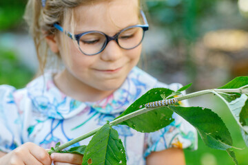 Little preschool girl watches caterpillar climb on plant. Happy excited child watching and learning...