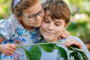 Little preschool girl and school kid boy watch caterpillar climb on plant. Happy excited children, siblings, brother and sister watching and learning insects in domestic garden.