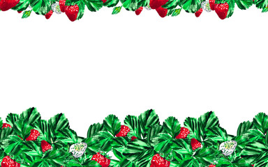 Victoria, strawberry or strawberry. Seamless banner. Watercolor botanical illustration of strawberries isolated on white background. For your design