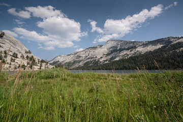 A lake in Yosemite national park