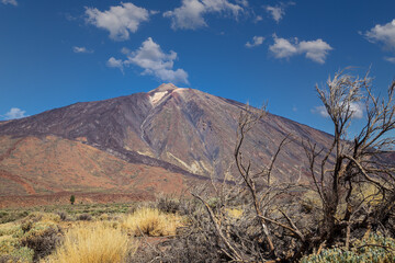 The famous El Teide volcano in Tenerife, Canary islands, Spain. Volcanic landscape in front a blue...