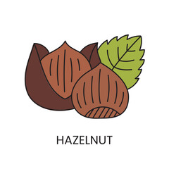 Hazelnut Vector Illustration, a captivating vector illustration showcasing the beauty.