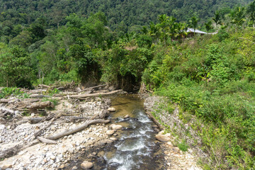 Fototapeta na wymiar Forest and river view in Lokop Serbajadi, east aceh, Indonesia. Landscape of small river and dry forest tree with beautiful mountain background.