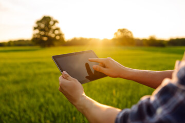 Close-up of the hands of a young farmer with a digital tablet, checking the quality of wheat growth in a green field. Bountiful harvest. Farm concept.