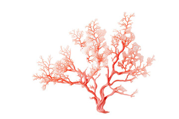  Elegant Coral on transparent background (PNG). Generative AI.