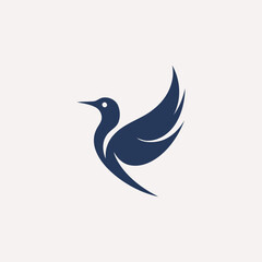 Bird logo design vector illustration