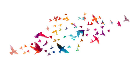 Naklejka premium A flock of flying colored birds. Vector illustration