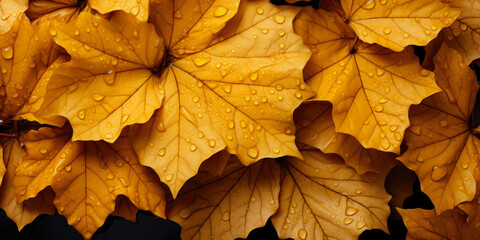 Fallen Yellow Maple Leaves On A Smooth Background Created With The Help Of Artificial Intelligence