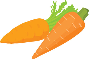 Vitamin food icon isometric vector. Ripe organic freshly harvested carrot icon. Raw food, healthy nutrition