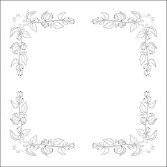 Black and white vegetal ornamental frame with kiwi fruits and leaves, decorative border, corners for greeting cards, banners, business cards, invitations, menus. Isolated vector illustration.